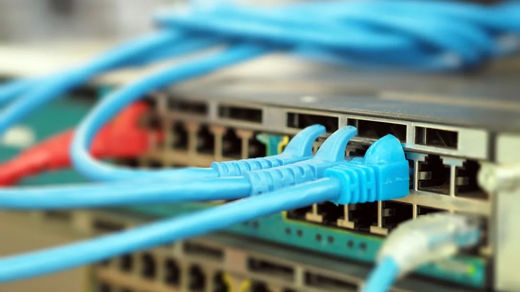 Blue network cables plugged into a server switch